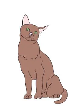 Cat color, vector Illustrazione stock