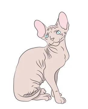 Cat color, vector Illustrazione stock