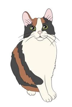 Cat color, vector Stock Illustration