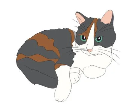 Cat color, vector Stock Illustration