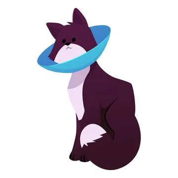 Cat in cone collar, vector dark color kitten wrapped in Elizabethan collar Stock Illustration