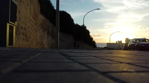 Cat crosses the road at sunset Stock Footage 232872912