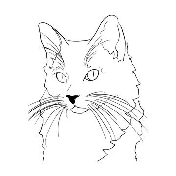 Cat is cute Stock Illustration