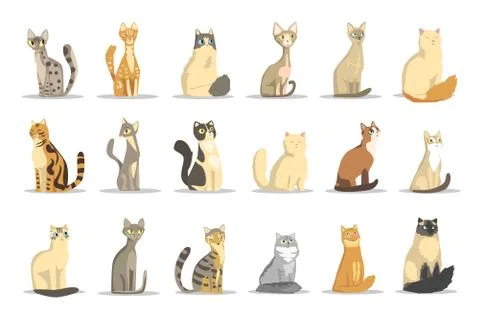 Cat different breeds set, cute pet animal vector Illustrations Illustrazione stock