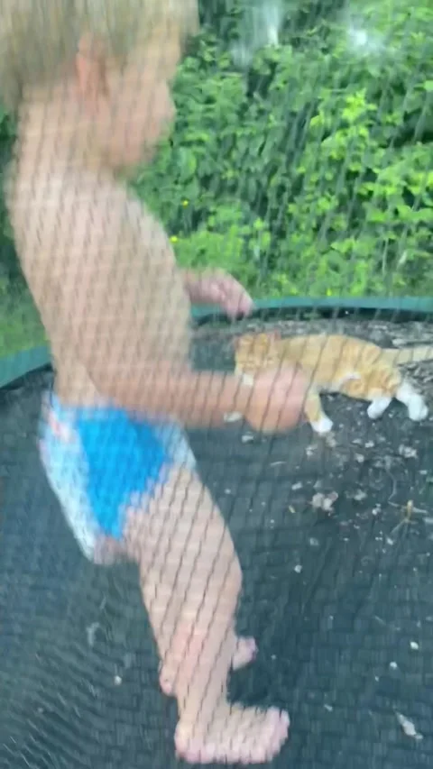 Cat Doesn't Mind Being Bounced By Kiddo, Liverpool, New York, USA - 26 Jun 2022 Stock Footage 205428046