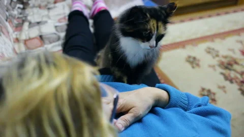 A cat doing a belly massage to the elderly woman. Camera shoots from behind Stock Footage 103032601