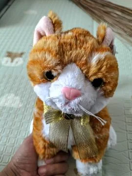 Cat doll Stock Photos
