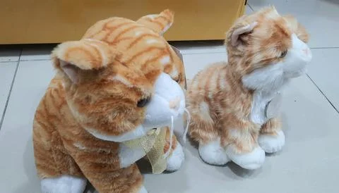 Cat Dolls Stock Photos