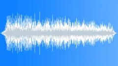 CAT, DOMESTIC Sound Effect