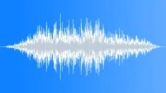 CAT, DOMESTIC Sound Effect