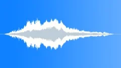 CAT, DOMESTIC Sound Effect