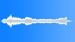 CAT, DOMESTIC Sound Effect