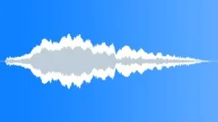 CAT, DOMESTIC Sound Effect