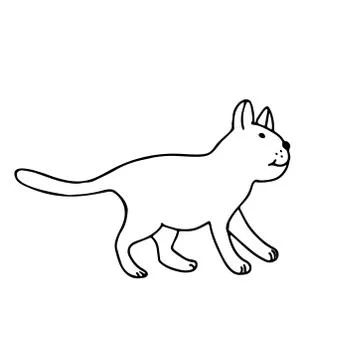Cat in doodle style. Stock Illustration