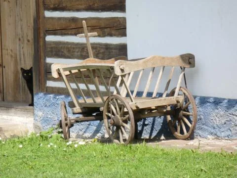 Cat in the door Stock Photos