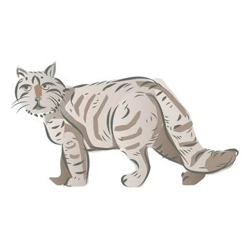 Cat Drawing and Vector Illustration Stock Illustration