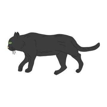 Cat is drawn in a goes position. Stock Illustration