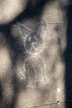 A cat is drawn on the sidewalk using white chalk Stock Photos