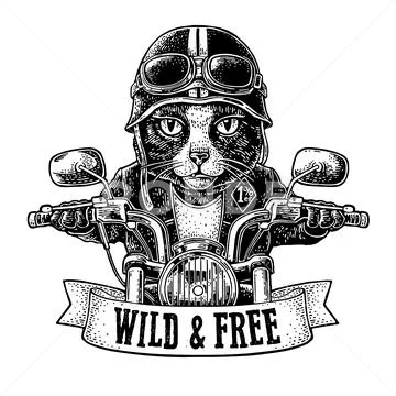 Cat Driving A Motorcycle Rides. Vector Vintage Engraving