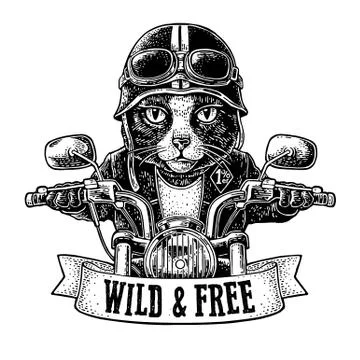Cat driving a motorcycle rides. Vector vintage engraving Stock-Illustration