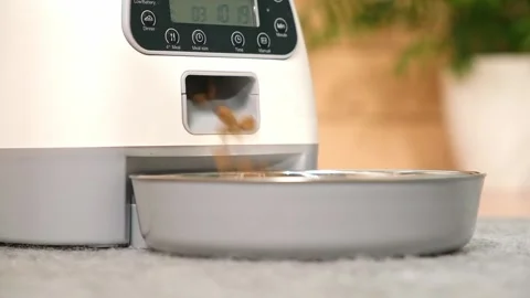 The cat eats from an automatic feeder. Automatic pet food dispenser on the floor Stock Footage 241927423