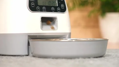 The cat eats from an automatic feeder. Automatic pet food dispenser on the floor Stock Footage 242298562