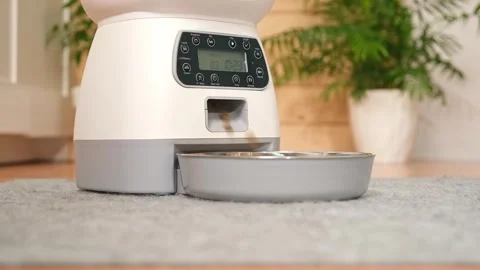 The cat eats from an automatic feeder. Automatic pet food dispenser on the floor Stock Footage 242444243
