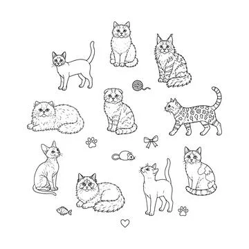 Cat Embroidery Pattern Cute Tiny Cat Breeds Round Hoop Pet Lover Gift Stock Illustration
