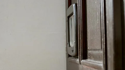 Cat exiting through pet door in a door Stock Footage 43968869