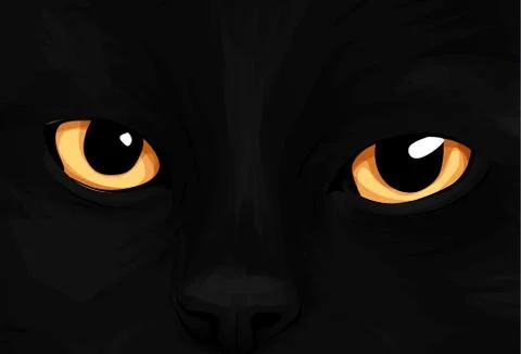 Cat Eyes on black background. Vector Illustration, cartoon style Stock Illustration