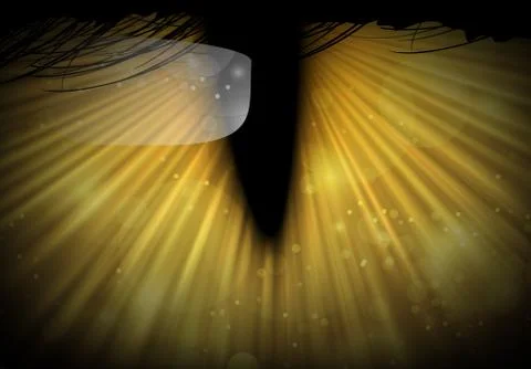 Cat eyes in darkness Stock Illustration