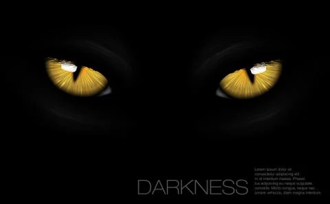 Cat eyes in darkness Stock Illustration