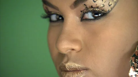 Cat eyes full face look 04 Video stock 8511812