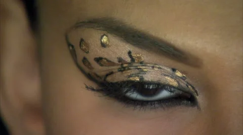 Cat eyes full face look 04 Video stock 8515314