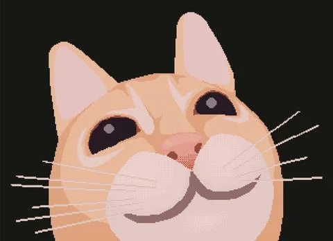 Cat face close up, pixel art meme. Vector illustration. Illustrazione stock