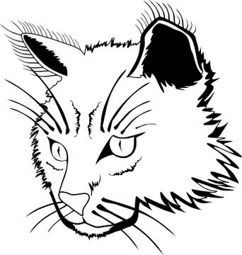 Cat face Stock Illustration