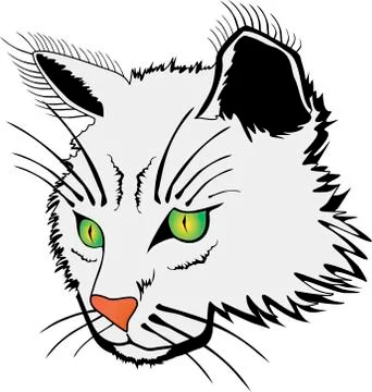 Cat face Stock Illustration