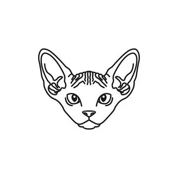 Cat Face Stock Illustration