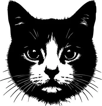 Cat face stencil on a white background Stock Illustration