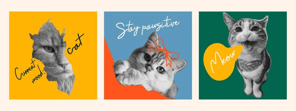 Cat faces collage set with funny quotes. Trendy retro aesthetic in grunge p.. Stockillustratie