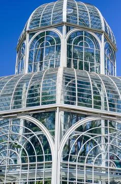 Cat facing forward in warm light. Stock Photos