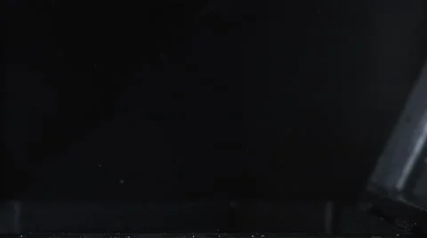 Cat falls into water, then quickly hops out. Over black. Slow motion. Video stock 68241922
