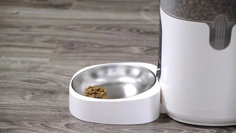 Cat feeding from the automatic feeder. The person pressed the button to add Stock Footage 271395371