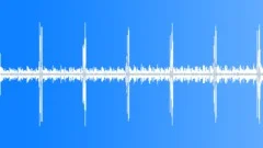 Cat, Female, Persian, PurringSound Effect