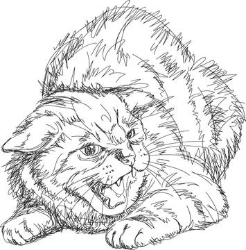 Cat, figure, grin, teeth, muzzle, vector, illustration Stock Illustration
