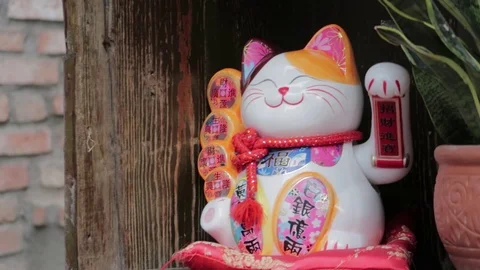 Cat figurine The nearest tree on the pillow background. 库存影片 119131730
