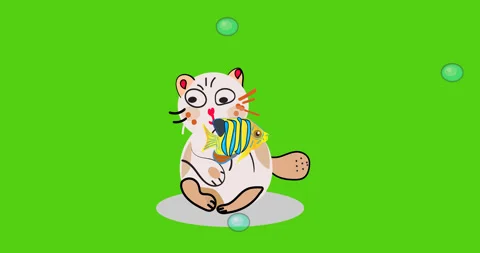 Cat fish animation Video stock 153663169