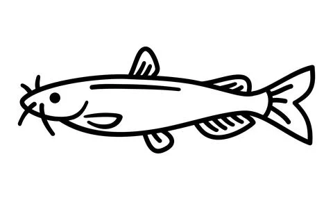 Cat fish icon vector. fish icon glyph style design on white background Stock Illustration