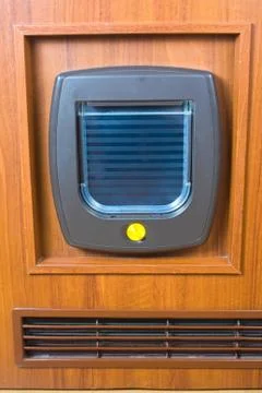 Cat flap Stock Photos