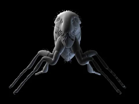 Cat flea, artwork Stock Illustration
